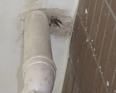 永和漏水检测哪家好